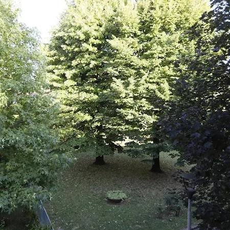 Pisacane61 Modena