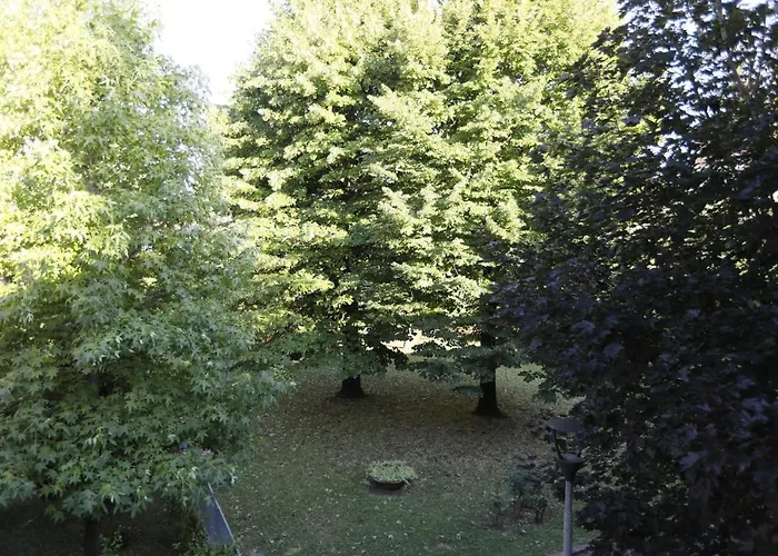 Pisacane61 Μόντενα